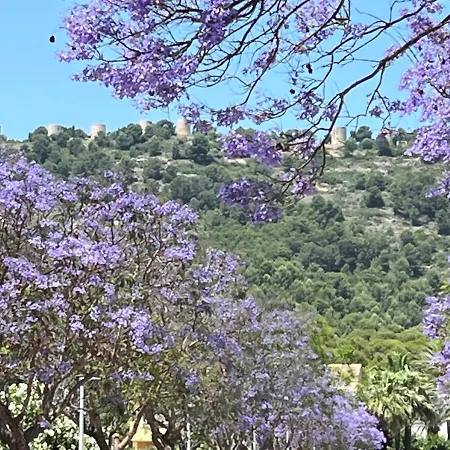 Nearby And Old Town